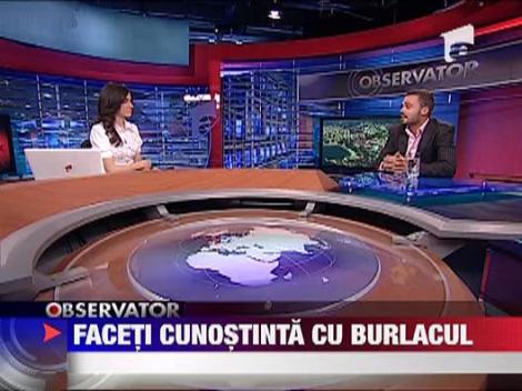 Faceti cunostinta cu Eduard Popescu Strohlen, noul Burlacul