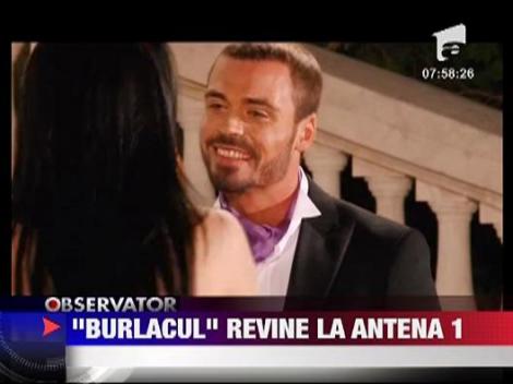 "Burlacul" revine la Antena 1