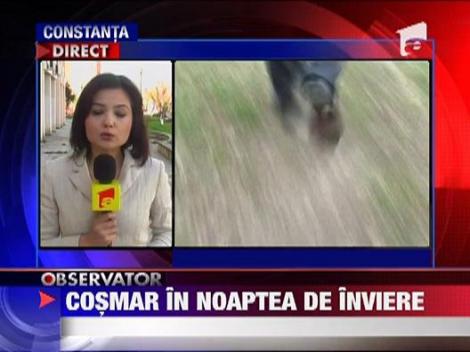 Violator lasat in libertate