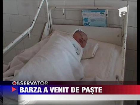 Barza a venit de paste