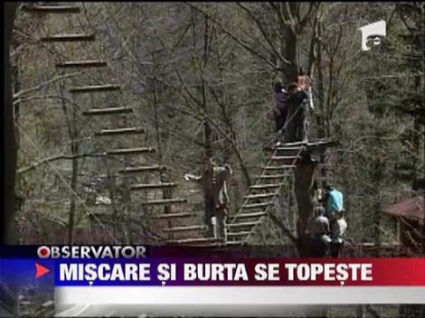Miscare si burta se topeste