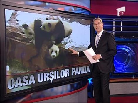 Casa de gheata pentru ursi Panda, intr-o gradina zoologica din China