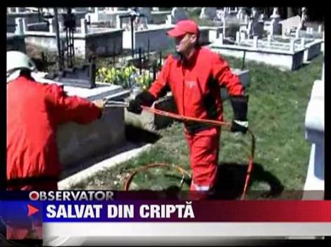 Pisica salvata din cripta