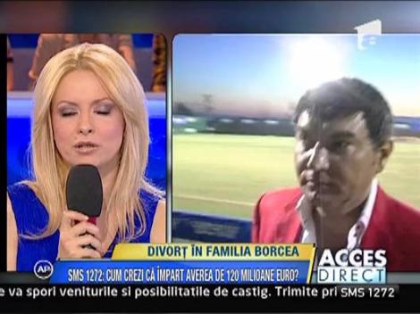 Divort in familia Borcea