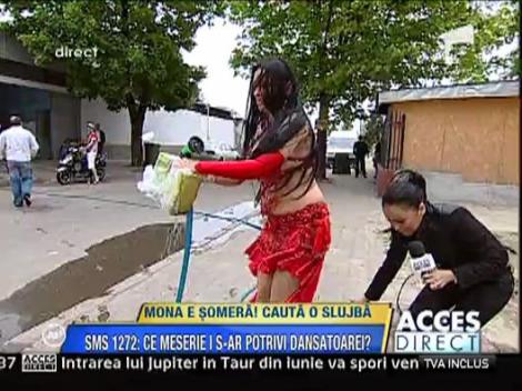 Mona e somera! Cauta o slujba