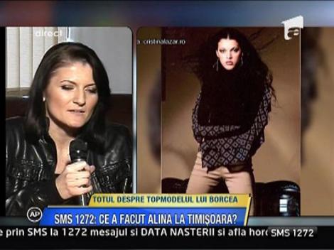 Totul despre topmodelul lui Borcea