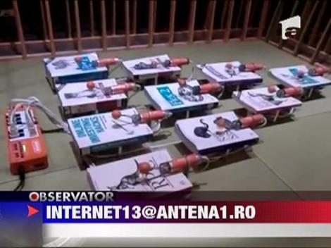 Muzica neconventionala