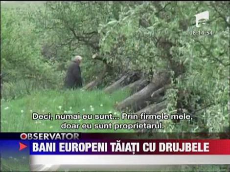 500 de pomi fructiferi pusi la pamant cu drujba!