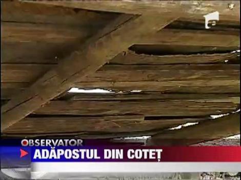 Doi copii, o fetita de 2 ani si fratele ei de 4 ani au ajuns sa doarma cu porcii!