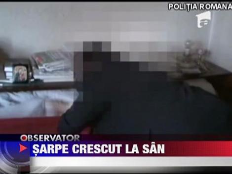 20 de serpi din casa unei batrane de 70 de ani!