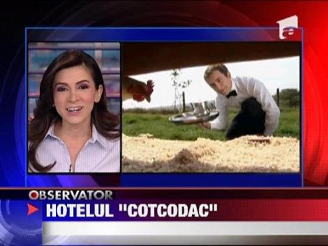 Hotel pentru gaini in Marea Britanie