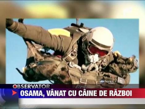 Bin Laden, vanat cu un super-caine de razboi