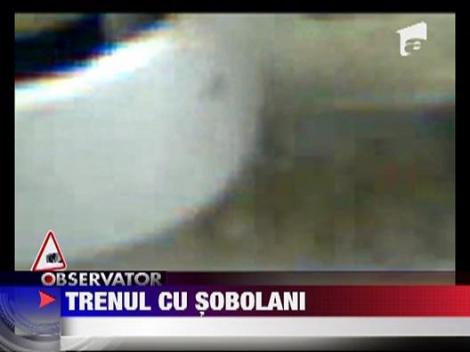 Tren plin de sobolani