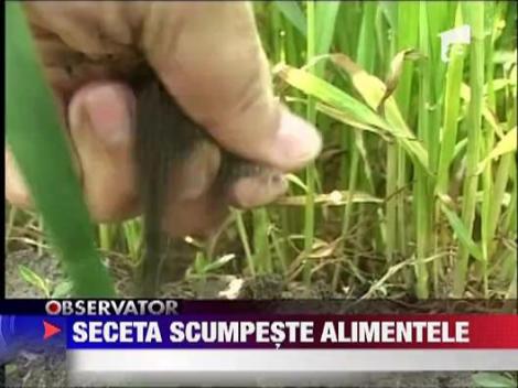 Seceta scumpeste alimentele