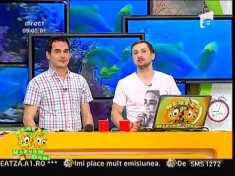 Novak Djokovic, fan Sistem