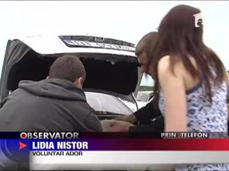 Macel la un adapost de caini din Botosani