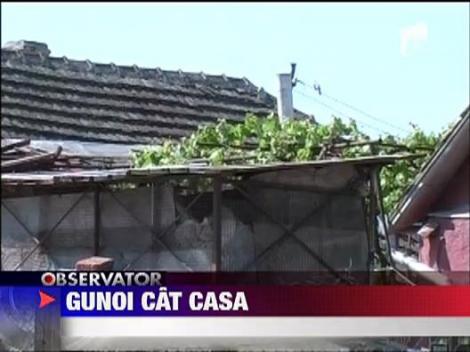 O ferma de vaci, motiv de scandal la Paulis!