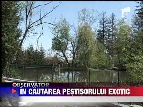 Gradina Zoologica din Brasov a fost calcata de hoti