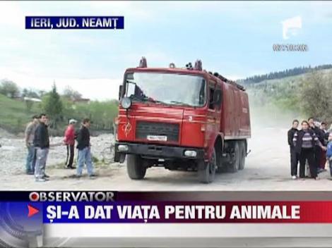 Si-a dat viata pentru animale
