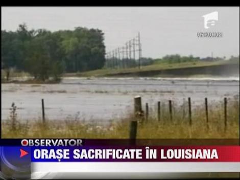 Orase sacrificate in Louisiana