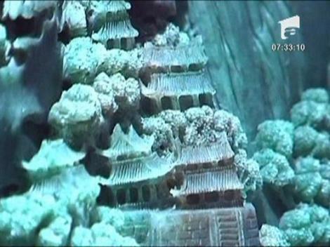 Epozitie de sculpturi si bijuterii din jad