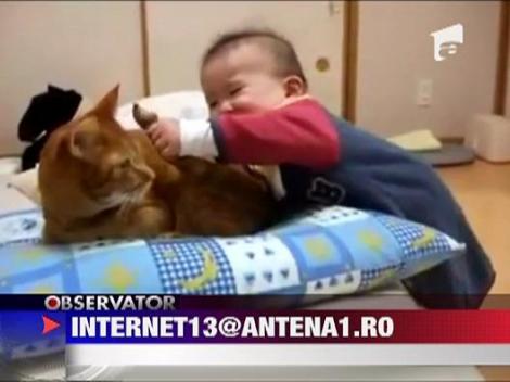 Copilul si coada pisicii