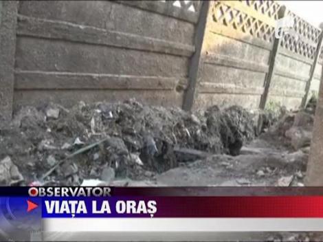 Trai primitiv la margiunea orasului Dej