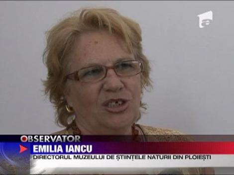 Casa ca un cuib de serpi