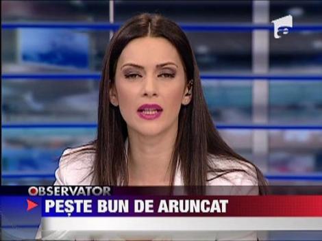 Peste cu viermi in Brasov