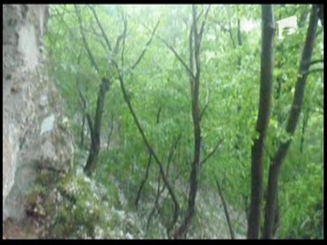 Vremea si-a facut de cap in Bihor!