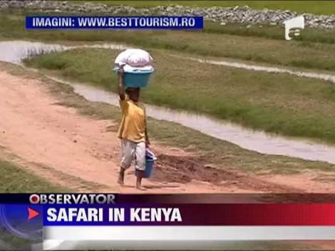 Safari in Kenya, ideal pentru o vacanta de neuitat