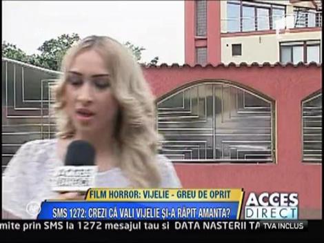 Vali Vijelie risca sa stea dupa gratii si 10 ani