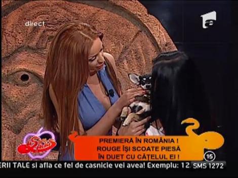 Daniela Crudu, momente de tandrete cu un caine