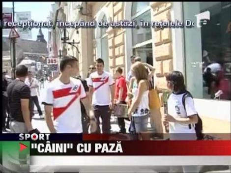 "Cainii" au marcaj strict la Brasov