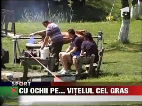 Stelistii au stat cu ochii pe un vitel la protap