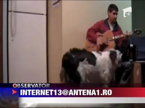 Un caine isi acompaniaza stapanul la acordeon