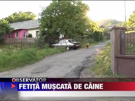 O fetita de doi ani, muscata de caine