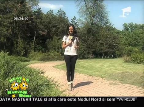 Tot ce trebuie sa stii despre bronz