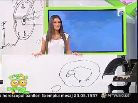 Dani, artistul secret din cartea Mihaelei Radulescu