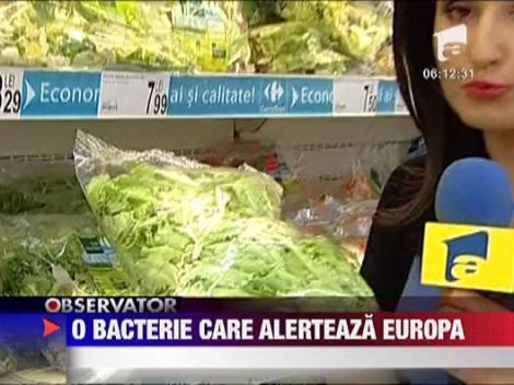 Bacteria ucigasa E Coli alerteaza toata Europa ‎