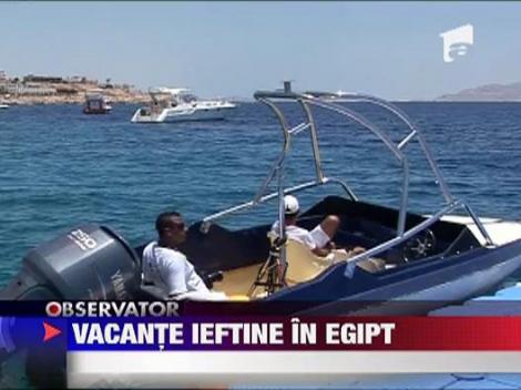 Vacantele s-au ieftinit foarte mult in Egipt