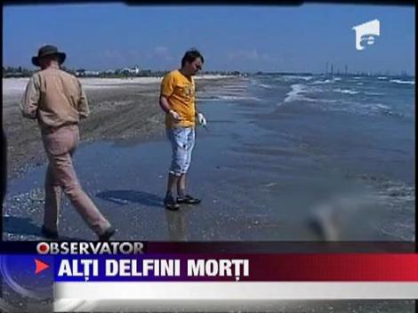Delfini morti pe litoralul romanesc