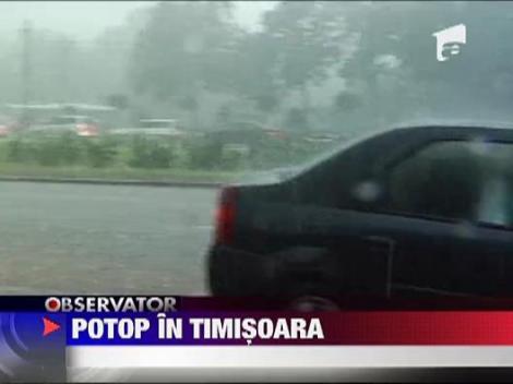 Potop in Timisoara
