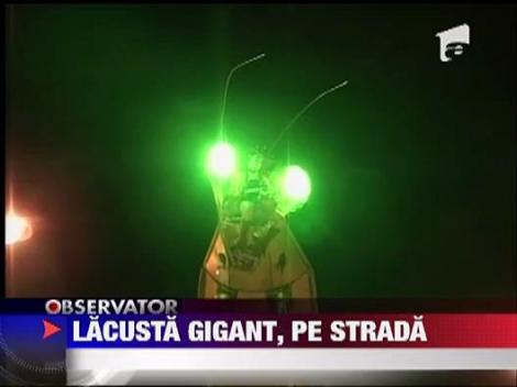 Lacusta gigant in centrul Sibiului