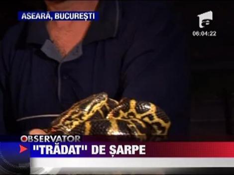 "Amenintare" cu sarpele