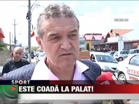 Este coada la Steaua