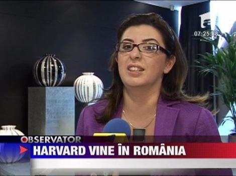 Harvard vine in Romania