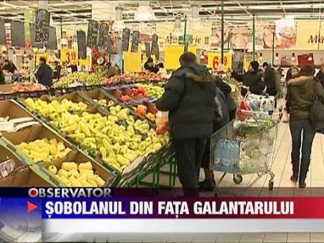 IMAGINI SOCANTE / Sobolan mort pe podeaua unui supermarket din Titan