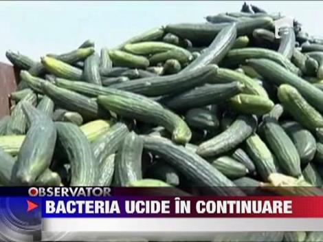 Bacteria E-coli ucide in continuare