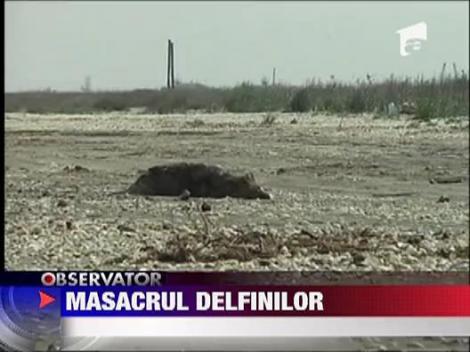 Dezastru ecologic pe litoralul romanesc